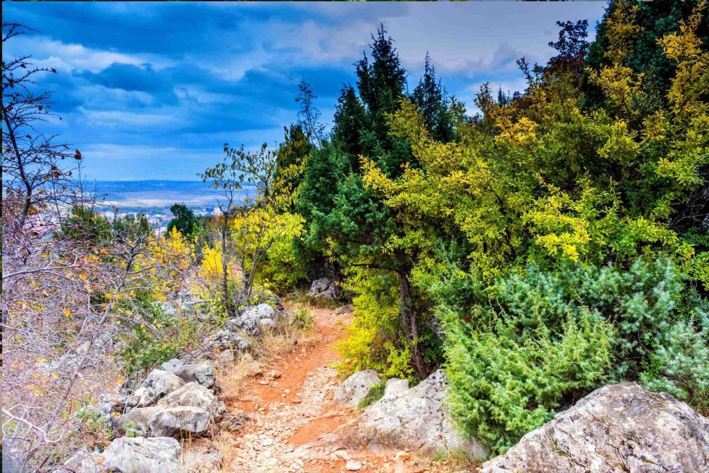 path pilgrimage to Medjugorje Joe Walsh Tours Pilgrimages