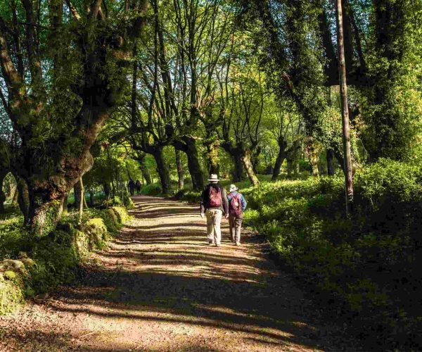 easy-camino-guided-tours-2024-Camino-Frances-Guided-Tours-Joe-Walsh-Tours